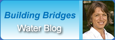 Building Bridges