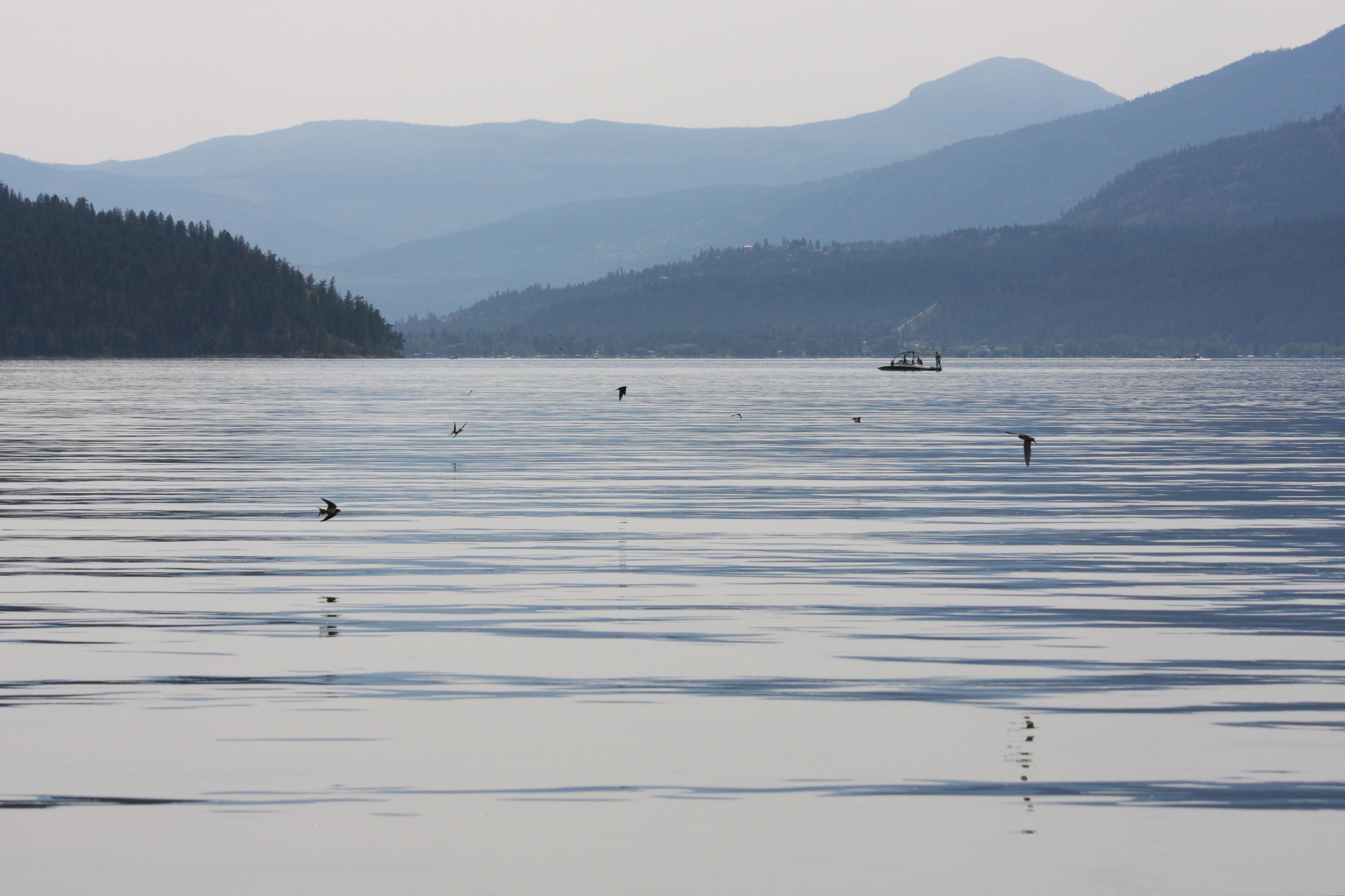 obwb_bg1.jpg Okanagan Basin Water Board