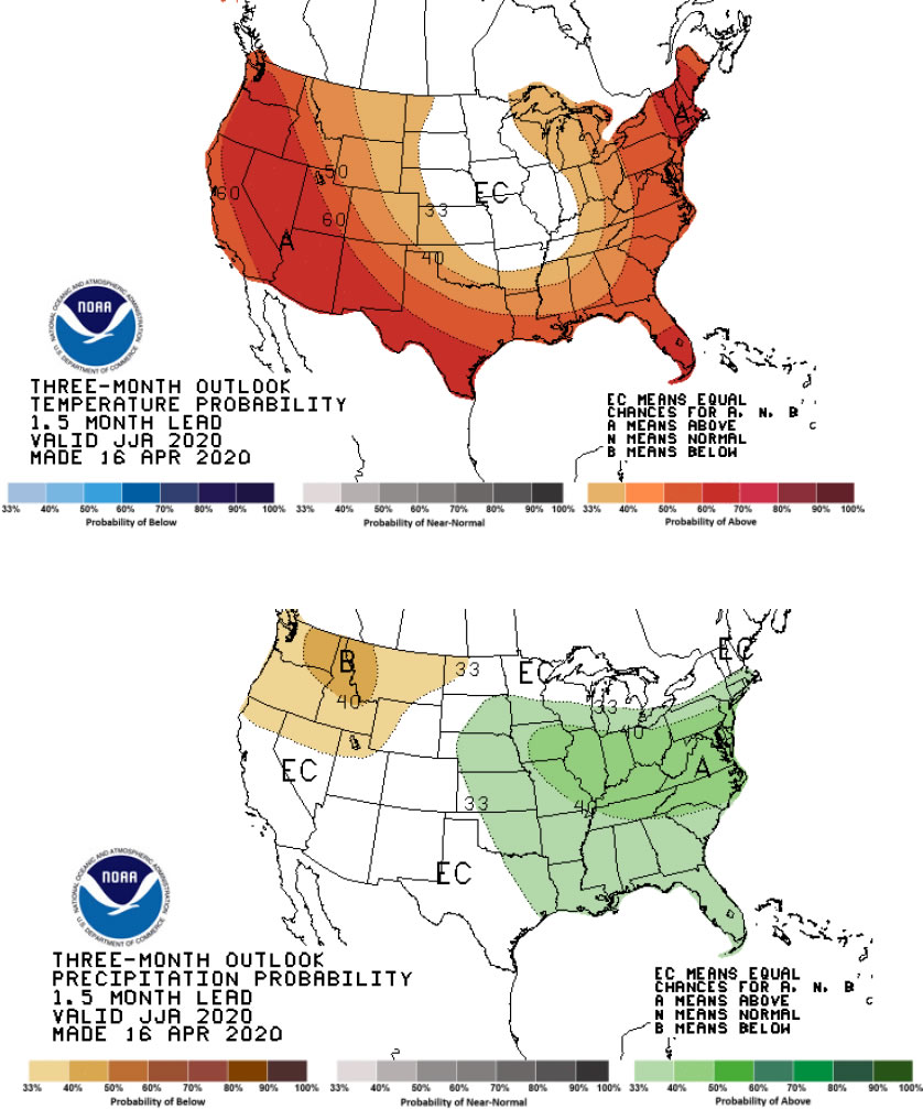 Seasonal forecasts