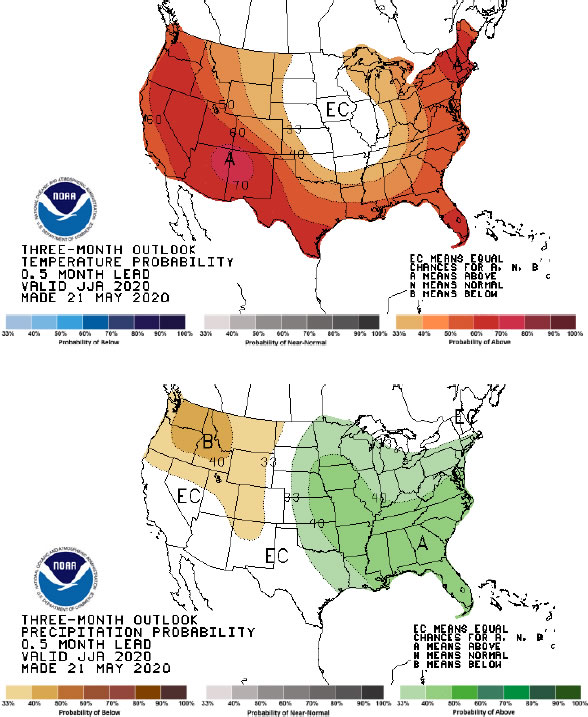 Seasonal forecast
