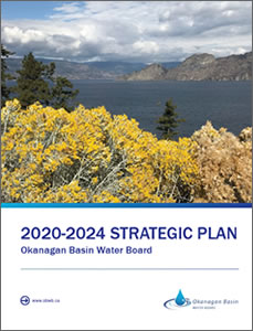 2020-2024 strategic plan