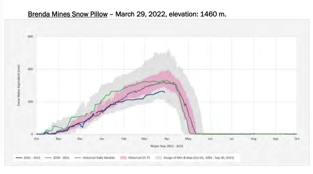 Snow pillow Brenda Mines