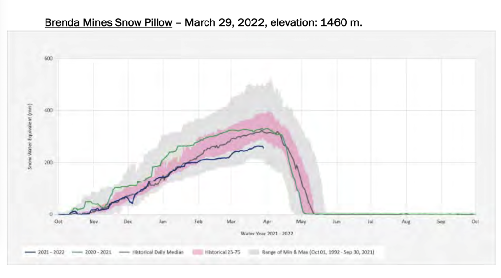 Snow pillow Brenda Mines
