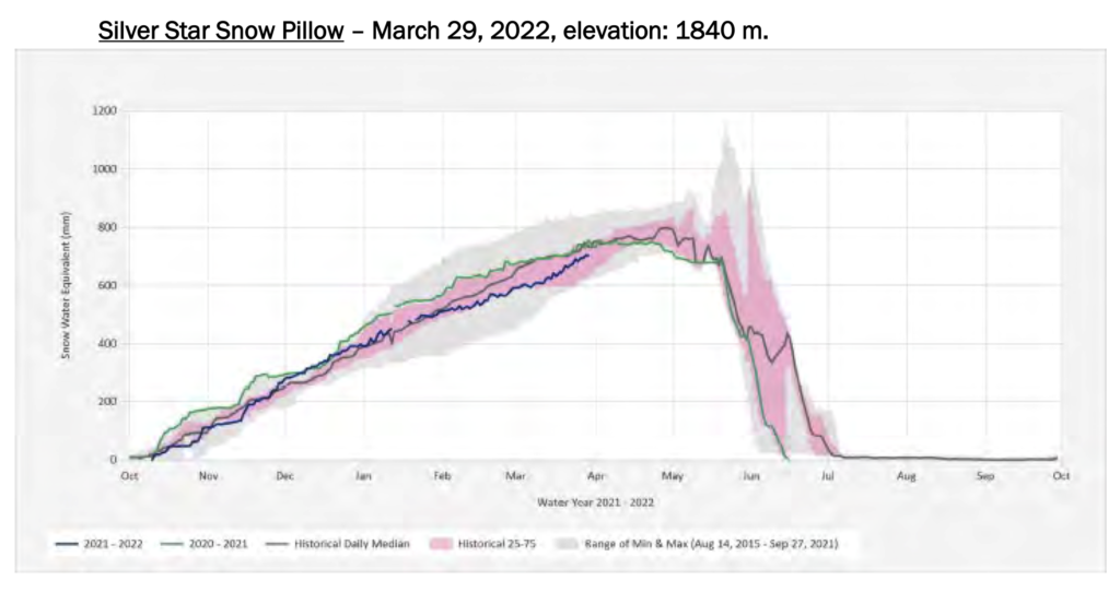 Silver Star snow pillow