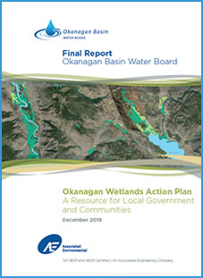 Wetlands Strategy