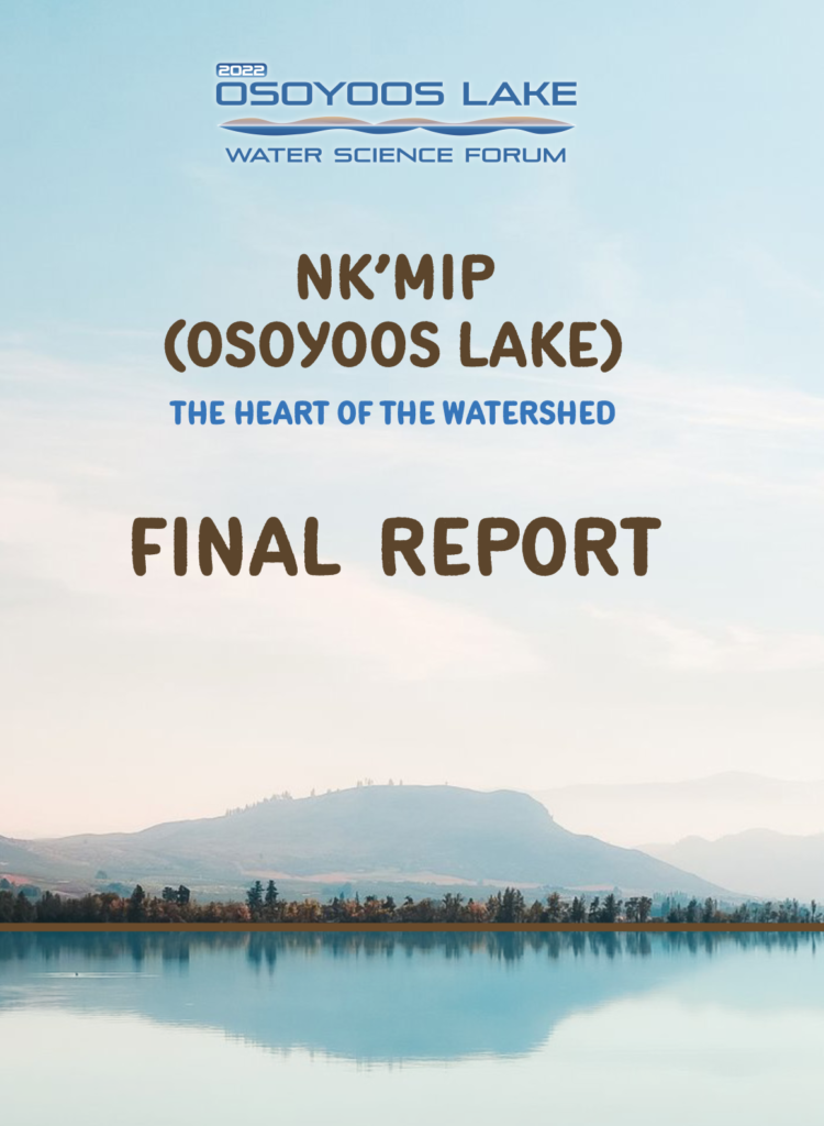 Final Report OLWSF2022