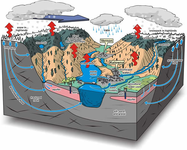 Okanagan Basin Water Cycle