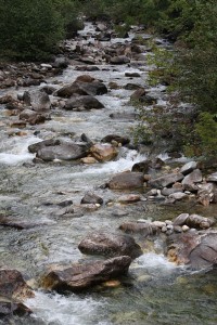 Fish-bearing stream